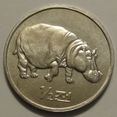 Hippopotamus